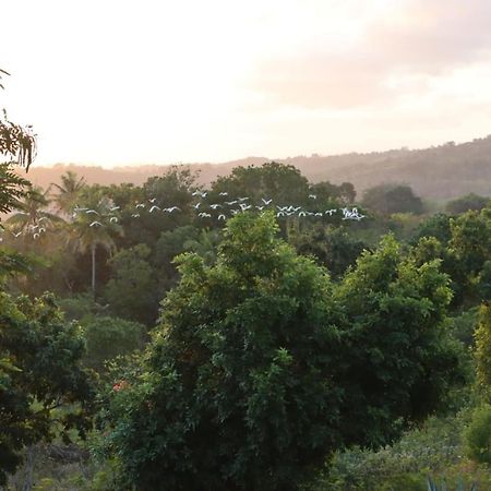 Deke Sumba Nautil Resort מראה חיצוני תמונה