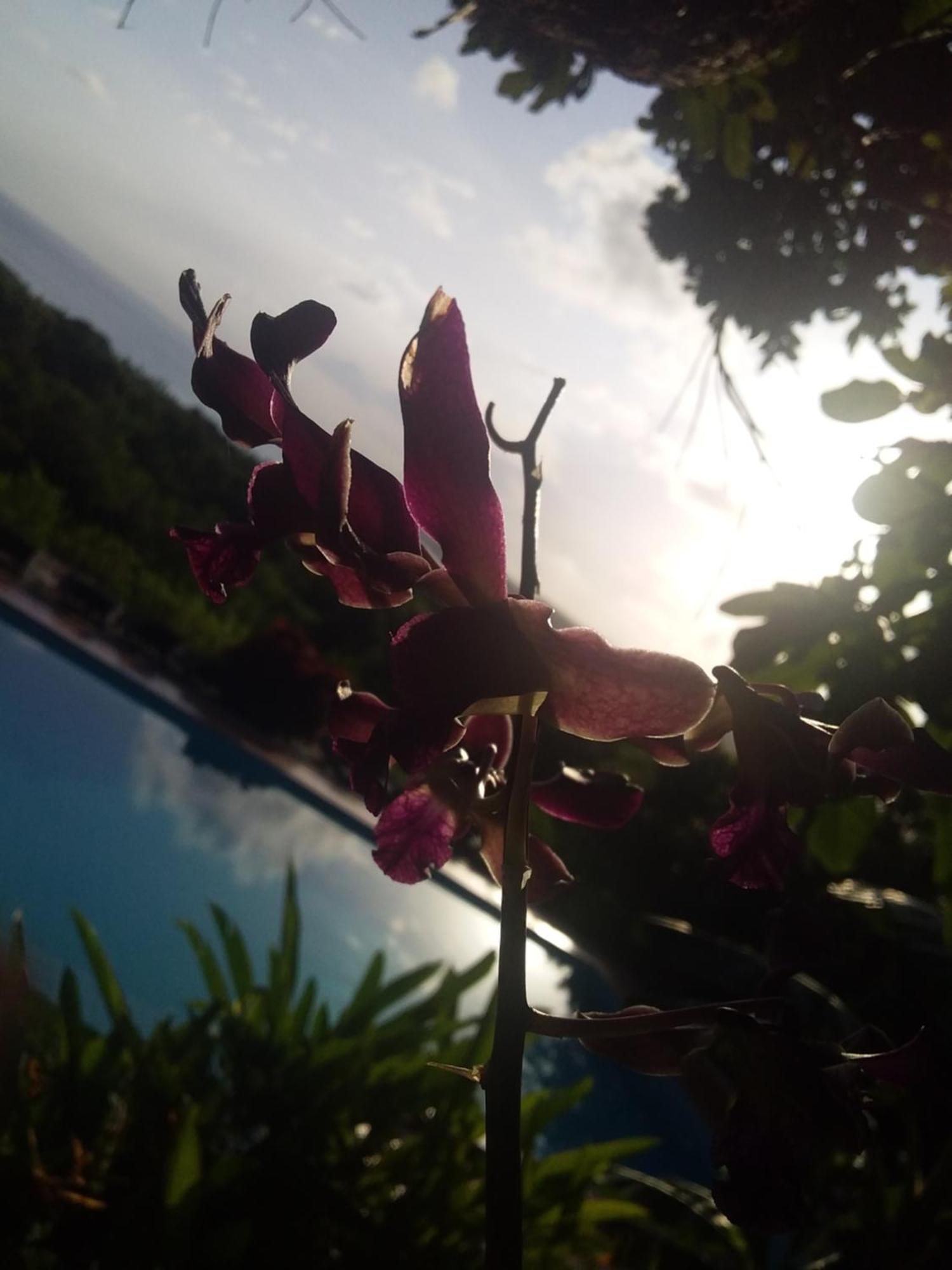 Deke Sumba Nautil Resort מראה חיצוני תמונה