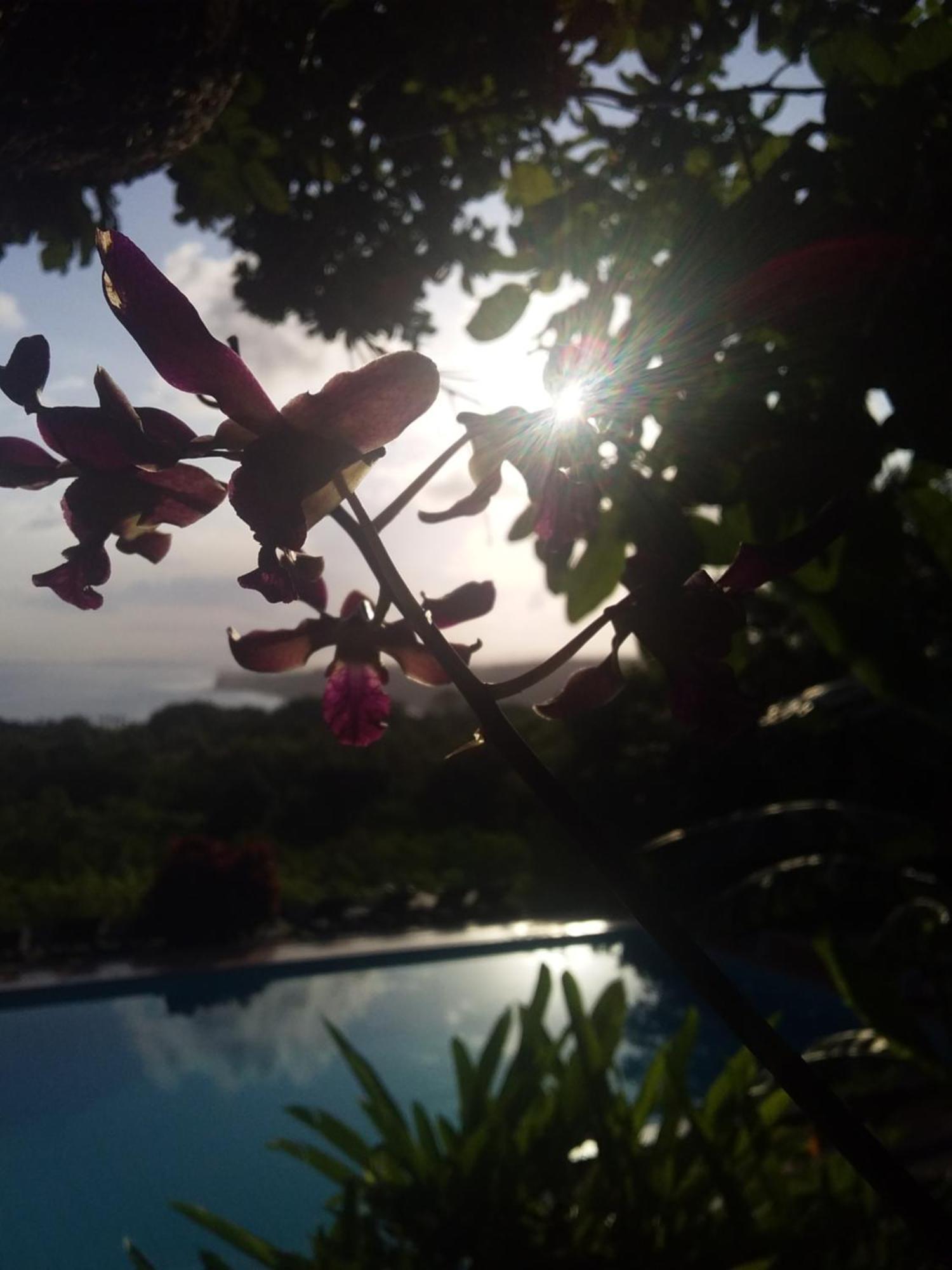Deke Sumba Nautil Resort מראה חיצוני תמונה